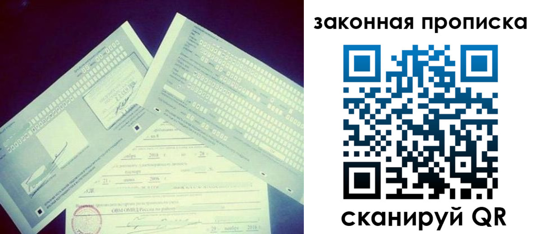 прописка поиск в Гаджиево